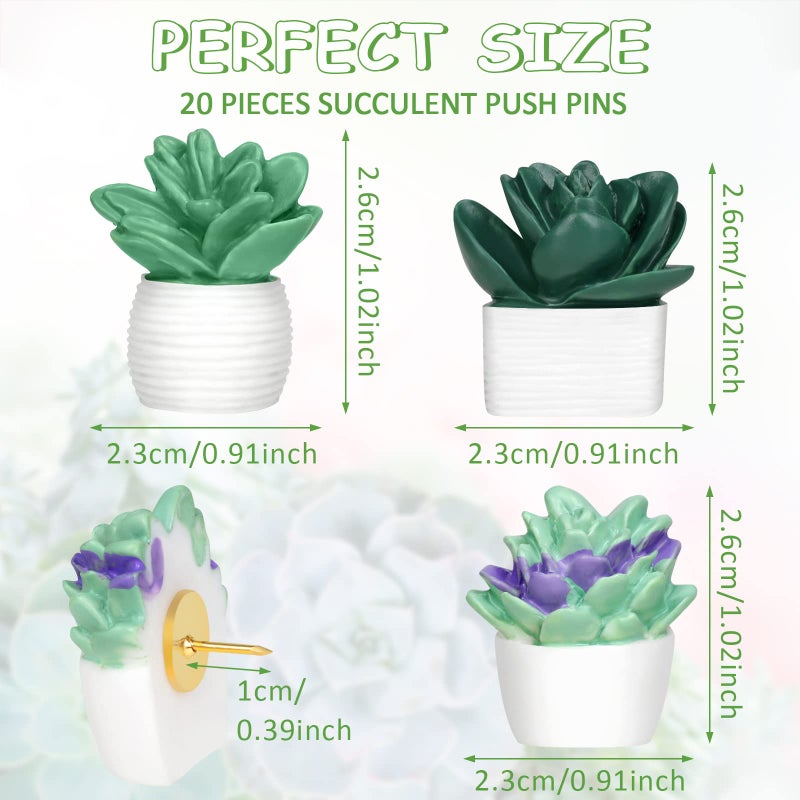 Utron 20 Pieces Cute Succulent Plants Decorative Push Pins Colorful Floret Thumbtacks for Photo Wall  Feature Wall  Whiteboard  Cork Board  Map  Bulletin Board  Office or Home (Three Assorted Styles) - Image 2